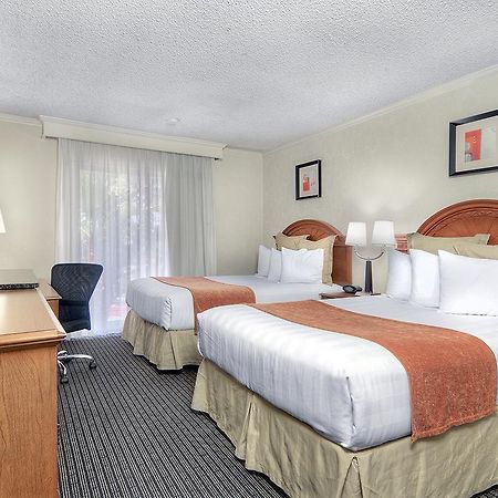 Los Prados Hotel San Mateo Eksteriør bilde