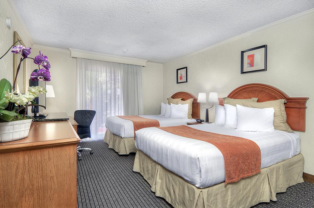 Los Prados Hotel San Mateo Eksteriør bilde